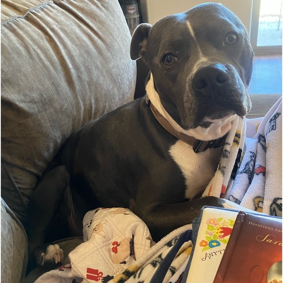 Meet your Posher, Shannon - Picture 3 of 3